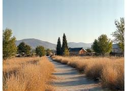 Before: Dry, untamed Idaho property before sustainable land management interventions